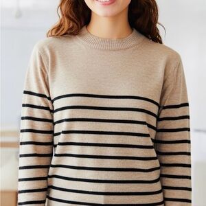 Stylish Tan and Black Striped Crewneck Sweater